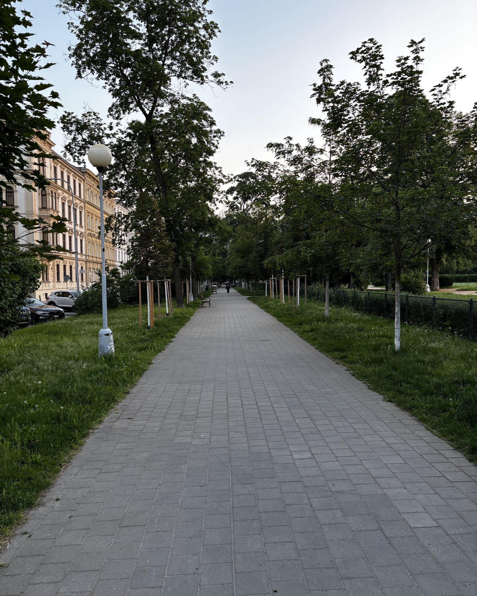 Person disappearing into the distance. A person with a backpack, park benches, bound trees in support frames, flowers in the grass, dandelions, park fence, street lights, trees and a garbage bin. Person