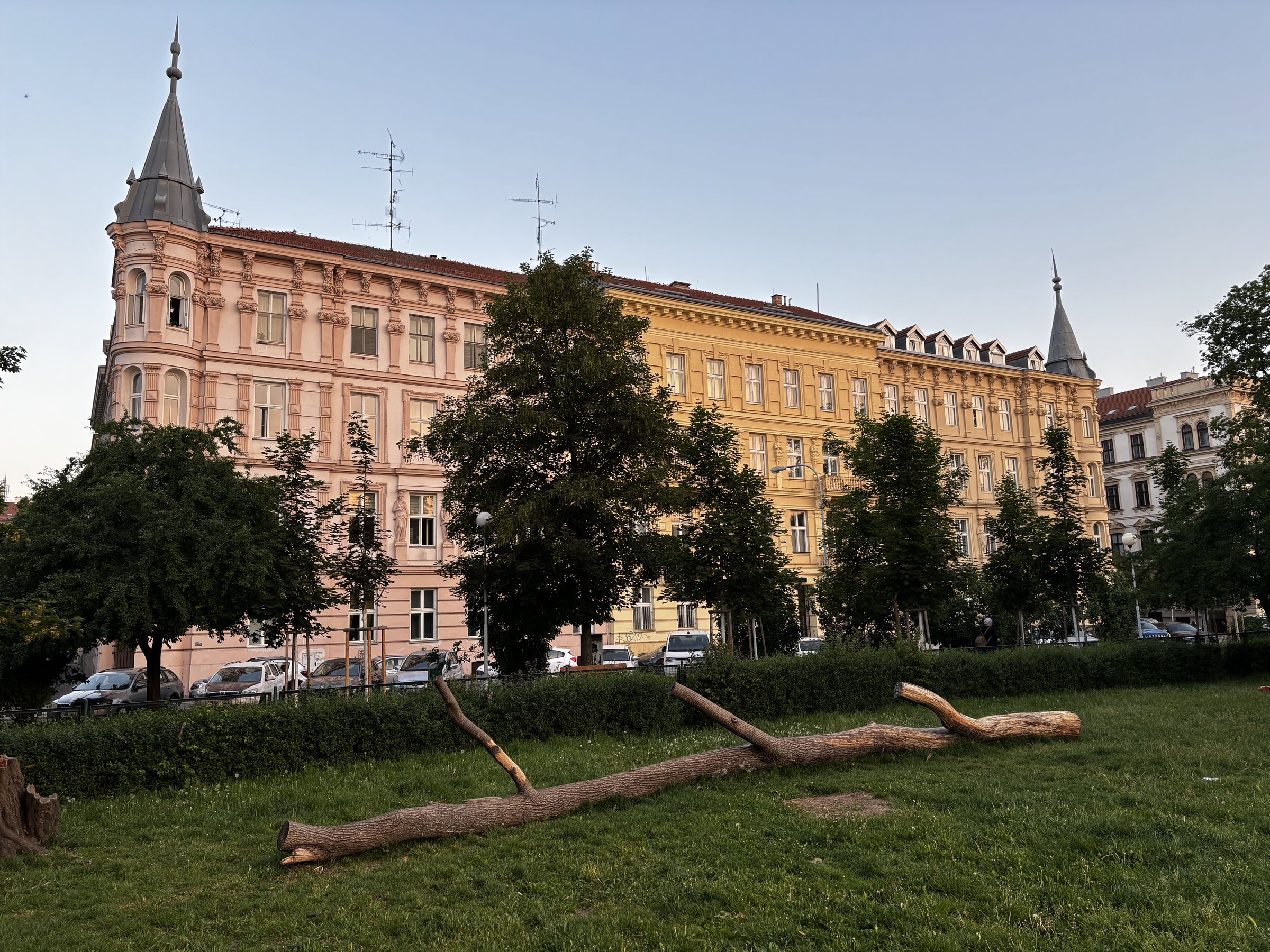 Park Moravské náměstí. A park with real things, tree stump, tree trunk with branches, dandelions, person with backpack and cigarette, street light, flat leaf trees, open windows with plants, carved decorations, paint missing from window frames, graphiti and copper conical capping.