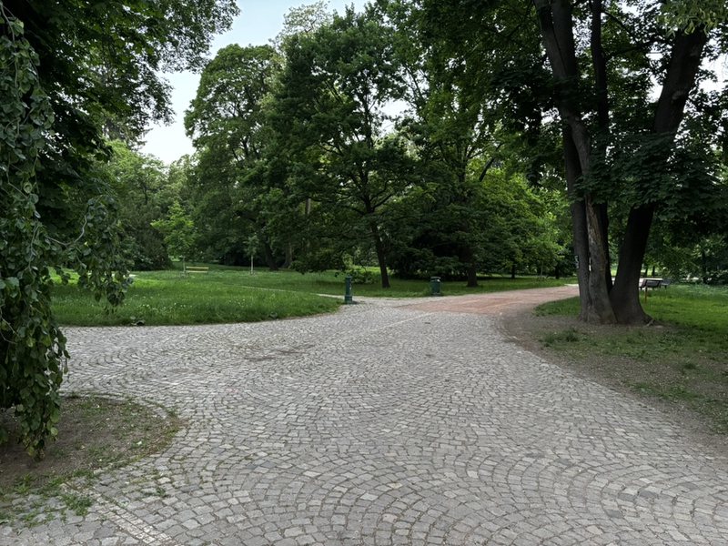 Entrance to a park. mosaic stones, dandelions, broad leafed plants, water tap and bowl, park benches, tree with scar.