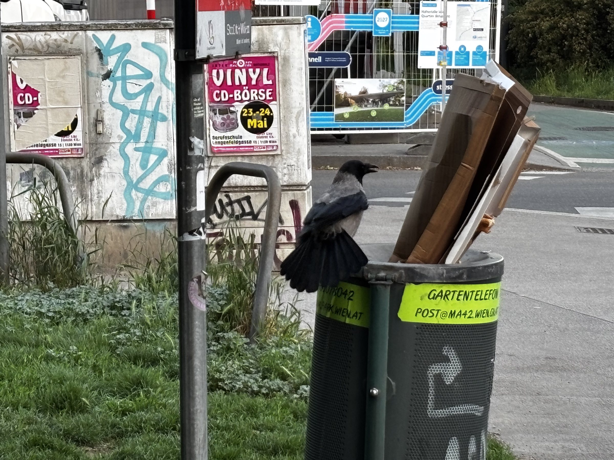 Krähen-Börse 🐦⬛