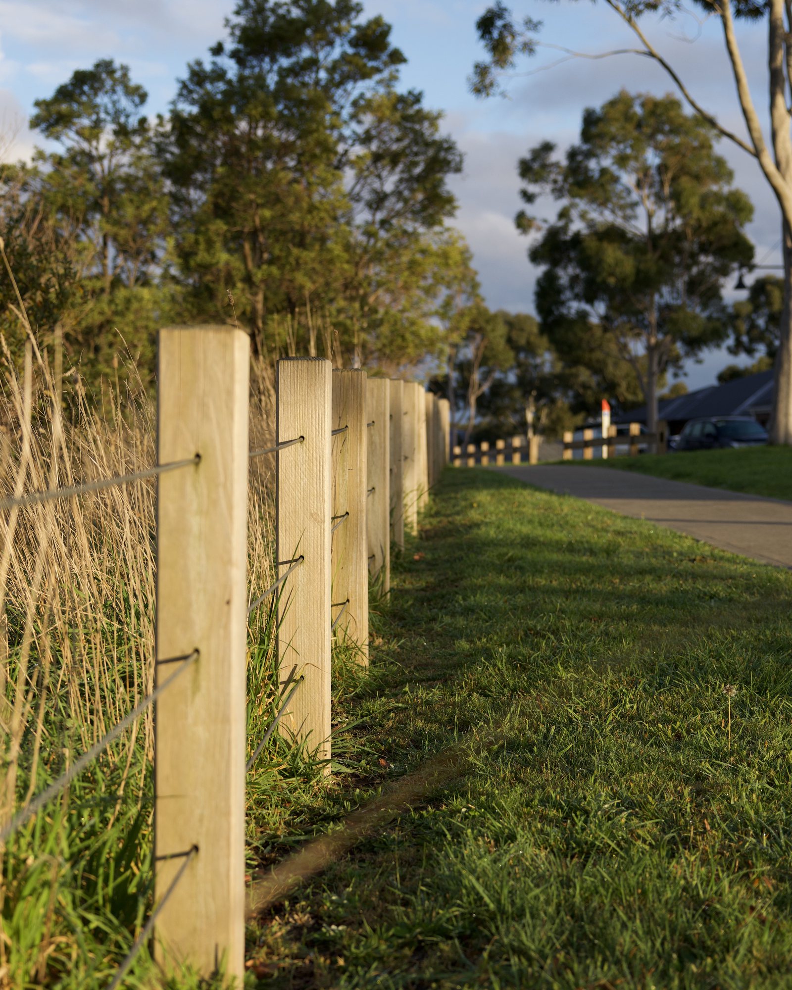 Post and wire fence, morning sun I. The second post was the focus target F2.8
