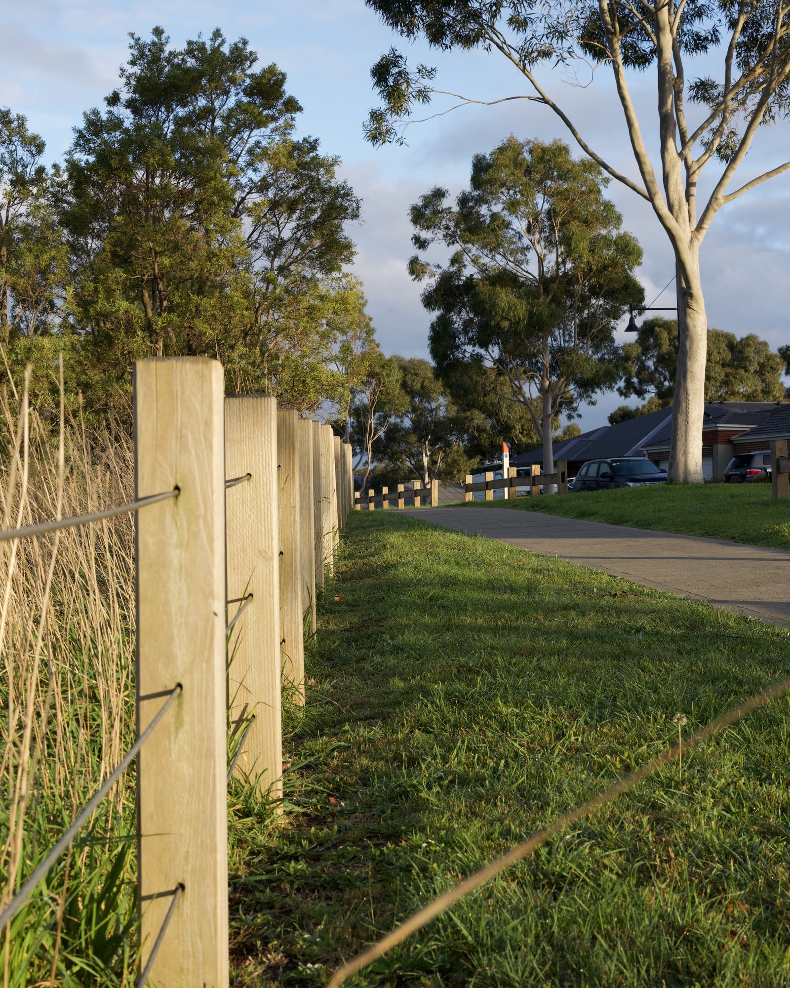Post and wire fence, morning sun I. The second post was the focus target @ F8