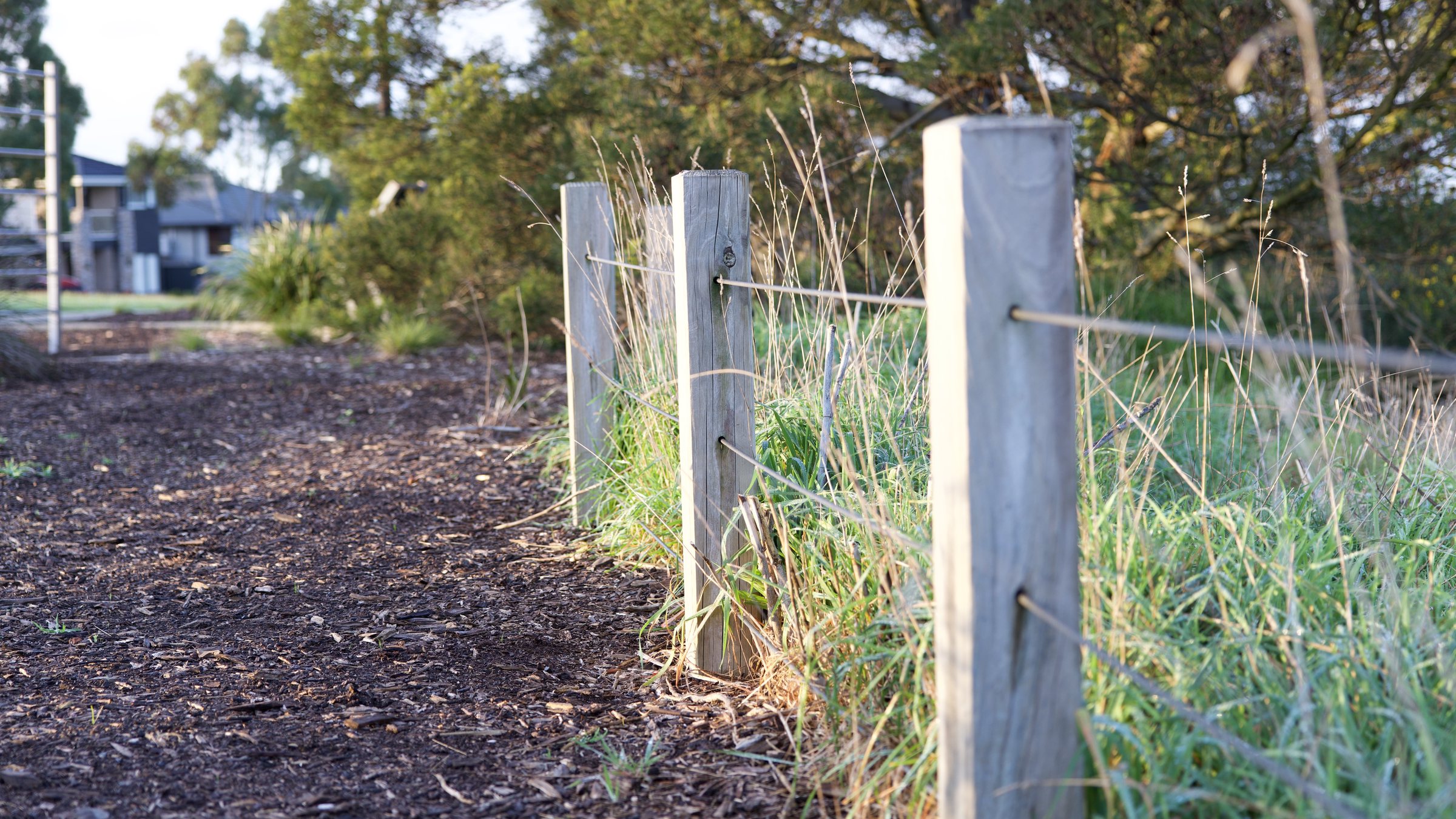 Wire and post fence in the morning sun II. Second post at 50mm @ F2.8