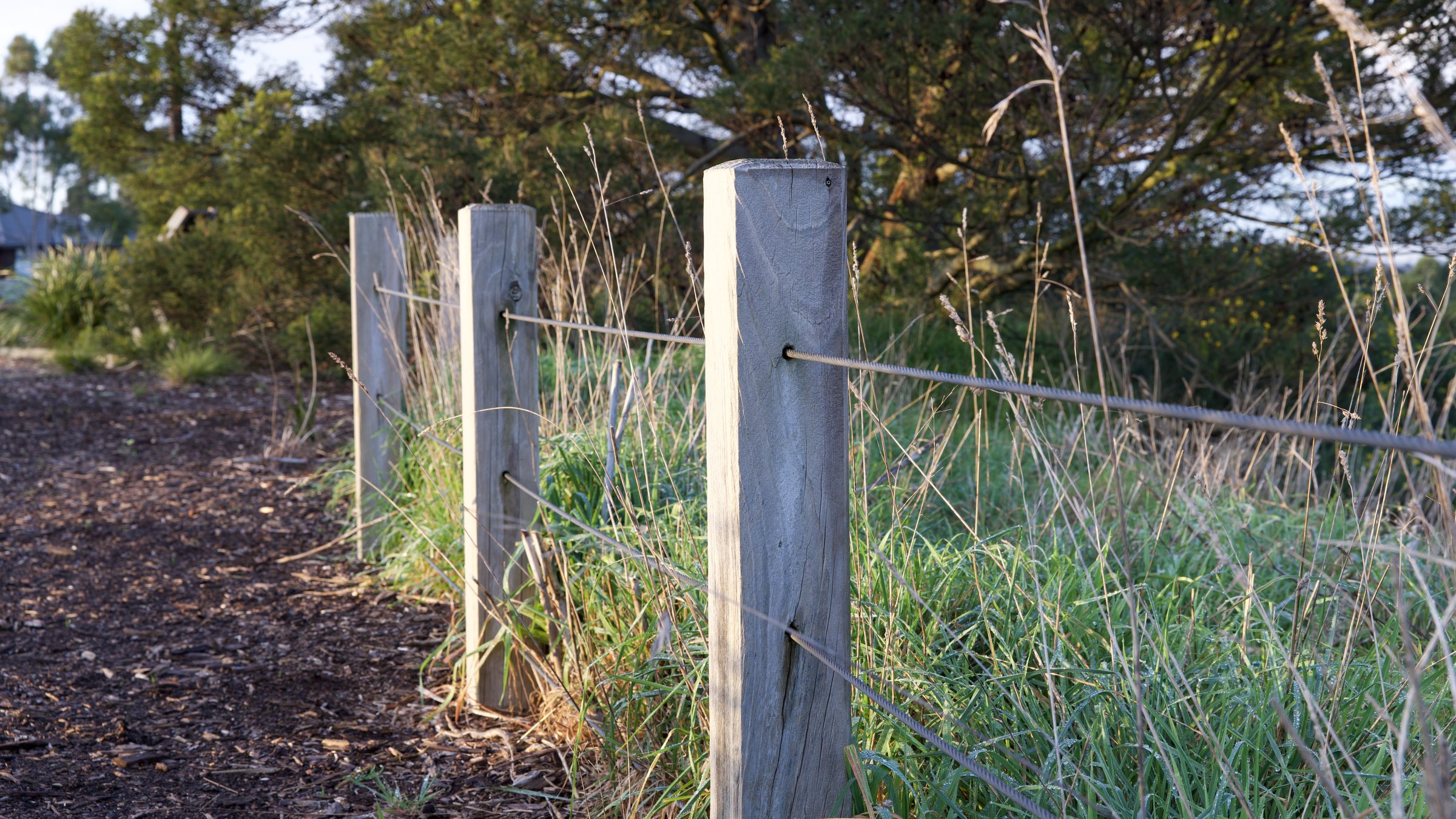 Wire and post fence in the morning sun I. First post at 50mm @ F8