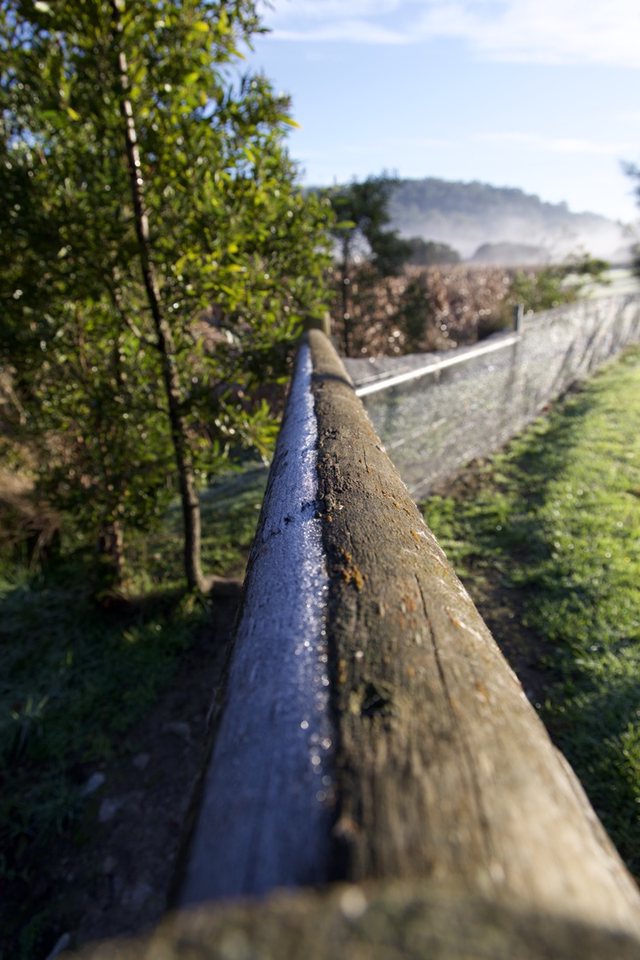 Lingering frost