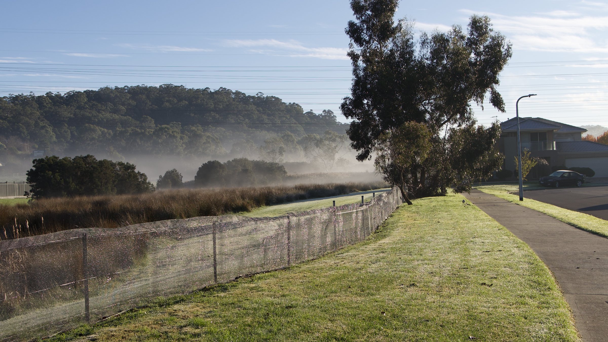 Morning's mist