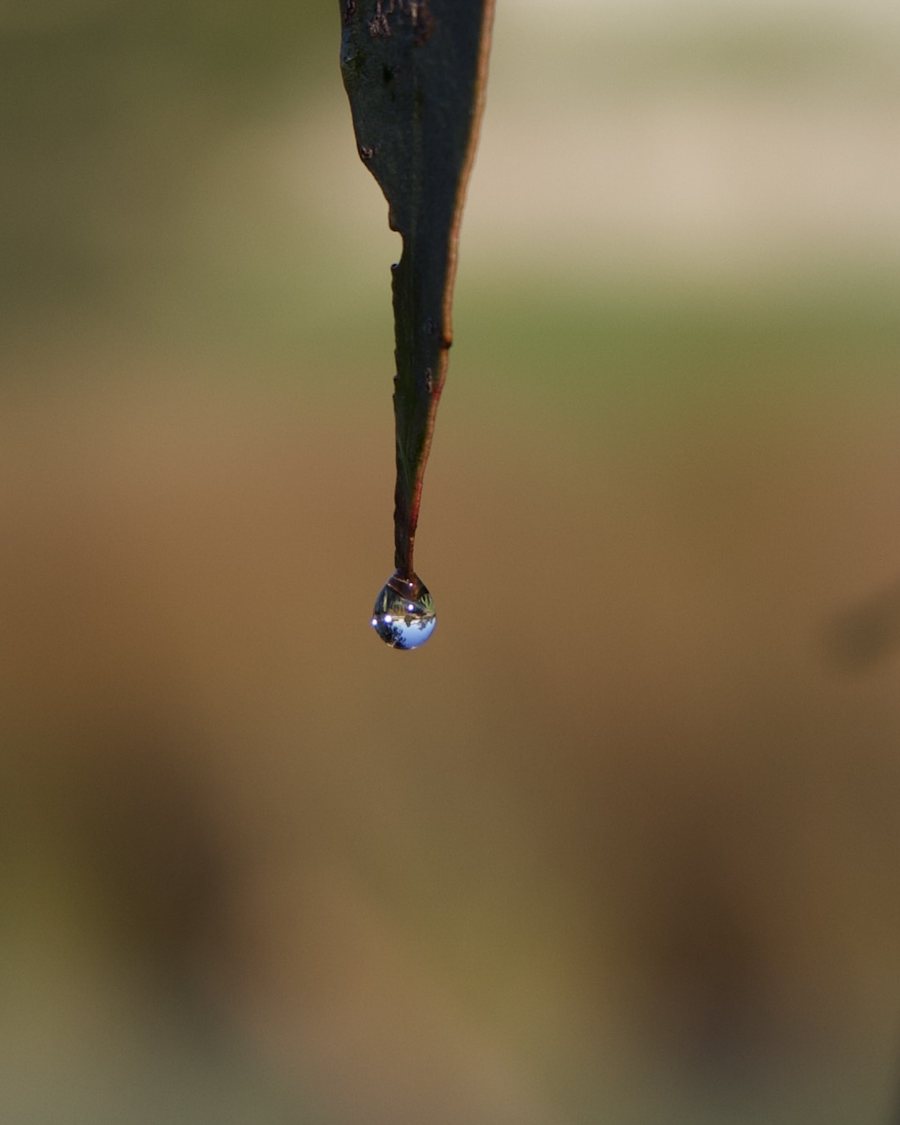 A lens in another way