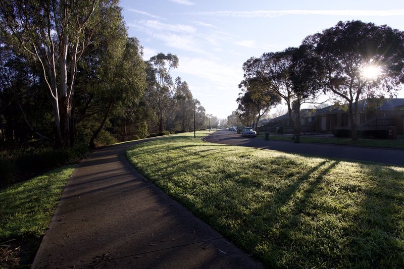 Long shadows cut through a gentle mist