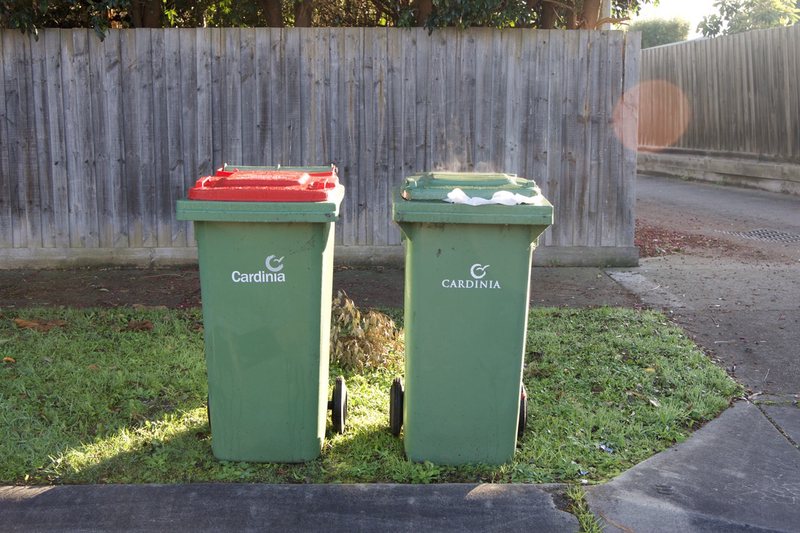 Bin day