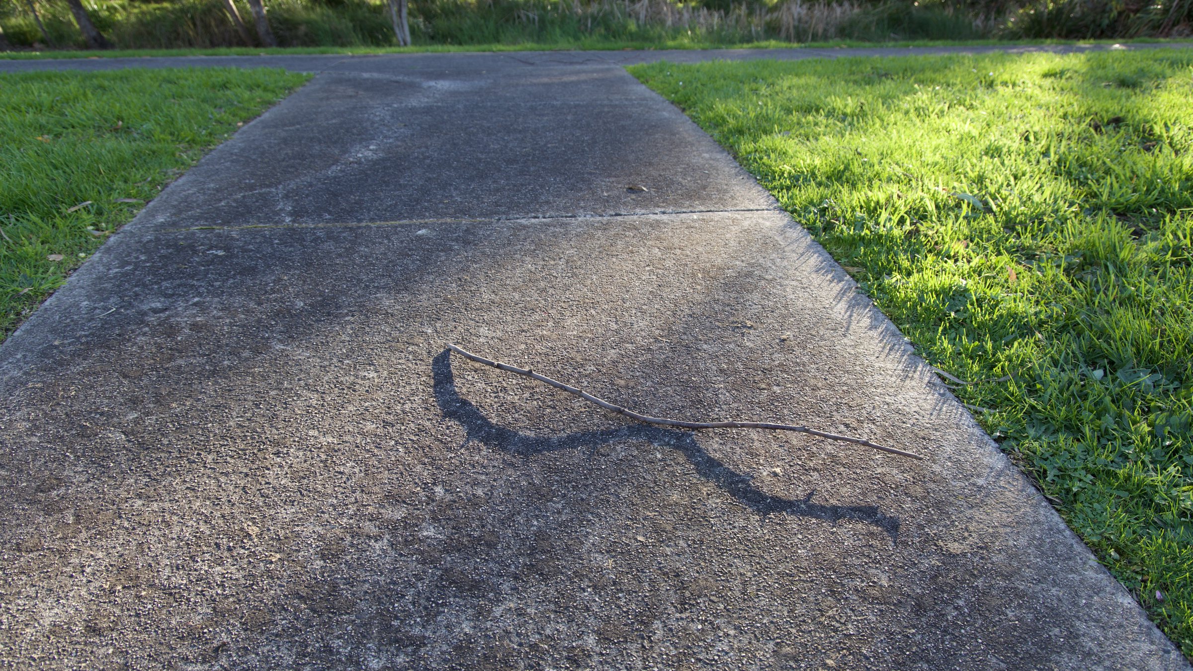 Shadow brings life to the inanimate