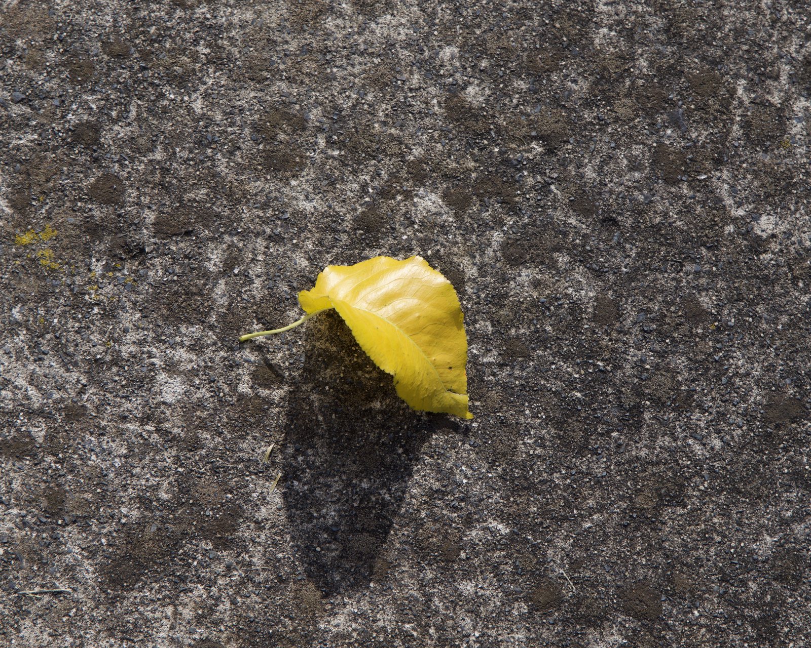 Yellow on grey
