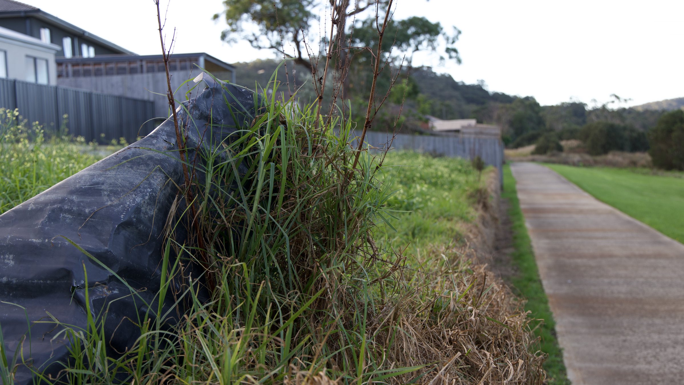 Vacant blocks become dumping grounds for someone else's problems